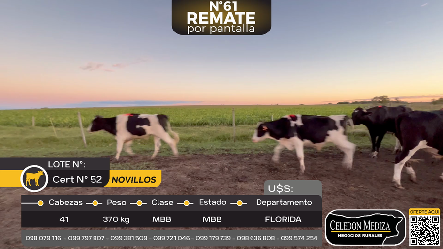 Lote 41 Novillos en Piedras Coloradas, Florida