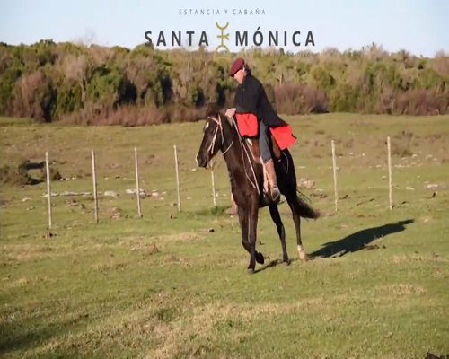 Lote Time Luna Creciente