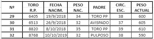 Lote TOROS ANGUS NEGRO PURO CONTROLADO