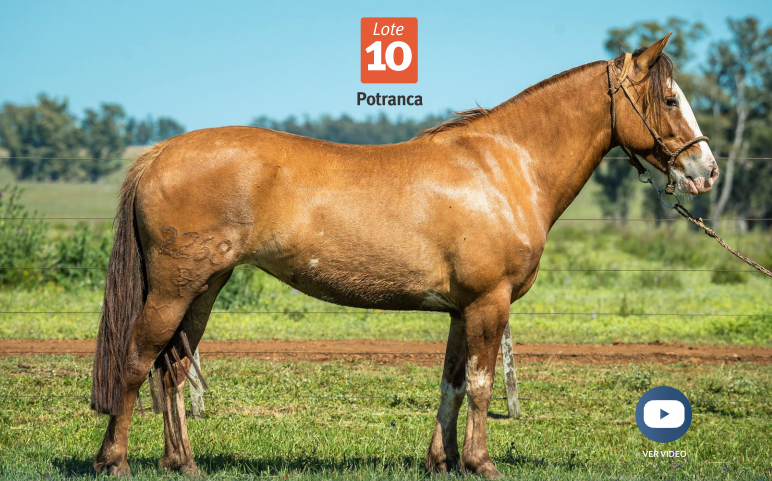 Lote DEL SILENCIO LLUVIA