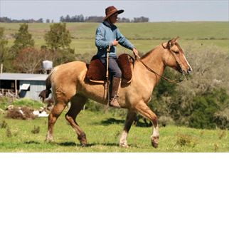 Lote SANTA GLORIA ROLDANA