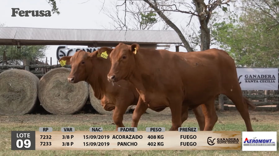 Lote Ganadera Santa Cecilia - Lote 9