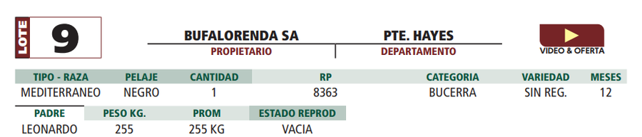 Lote LOTE 9