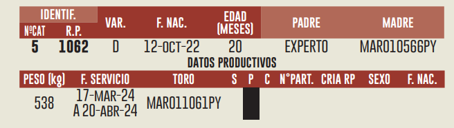 Imagen 2 del Lote Lote LOTE 7