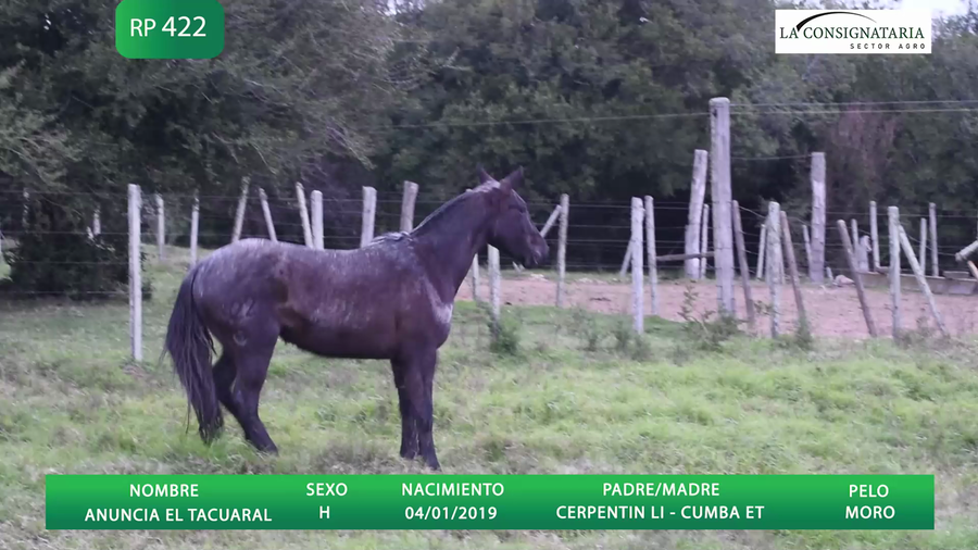 Lote ANUNCIA EL TACUARAL