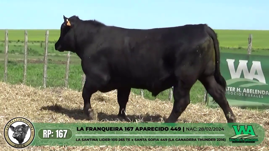 Lote LA FRANQUEIRA 167 APARECIDO 449