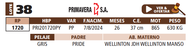 Lote LOTE 38
