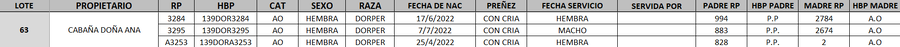 Lote LOTE 63- DESTACADO