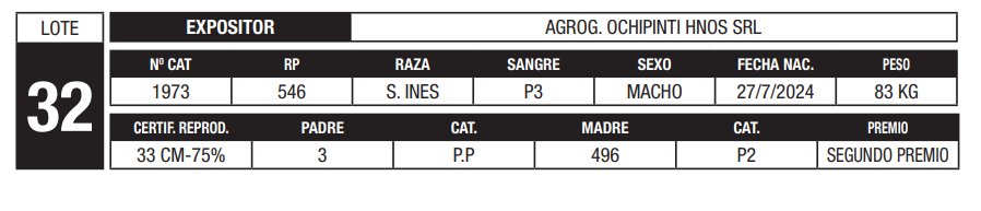 Lote LOTE 32