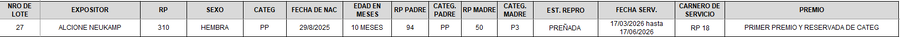 Lote LOTE 27 - CAMPO