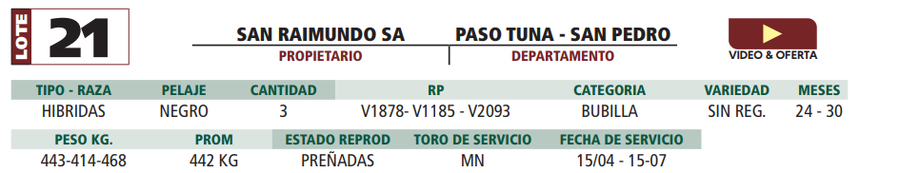 Lote LOTE 21