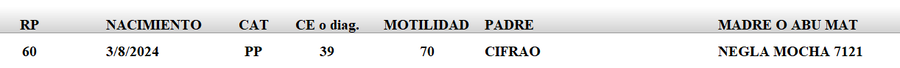 Lote LOTE 60