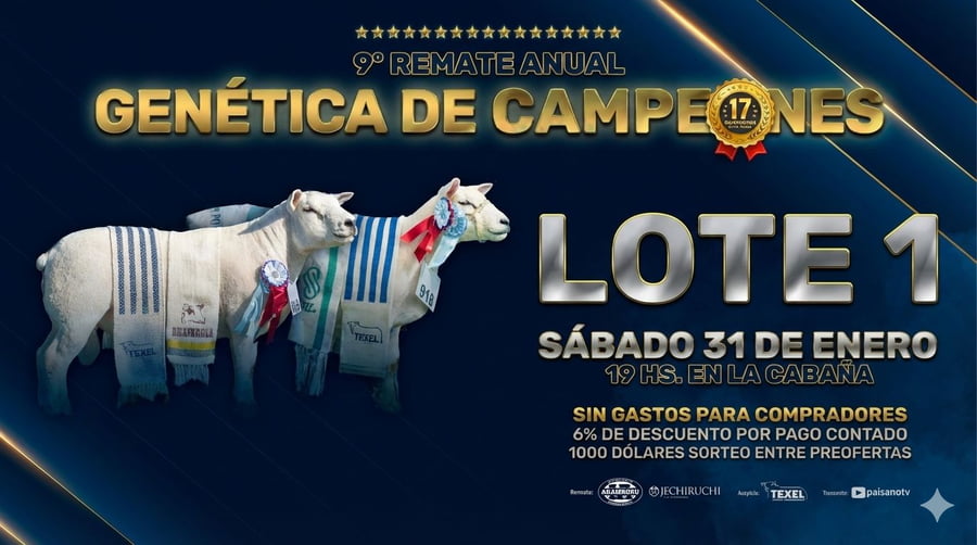 Lote LOTE 1