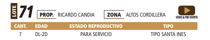 Lote LOTE 71 -POR PANTALLA
