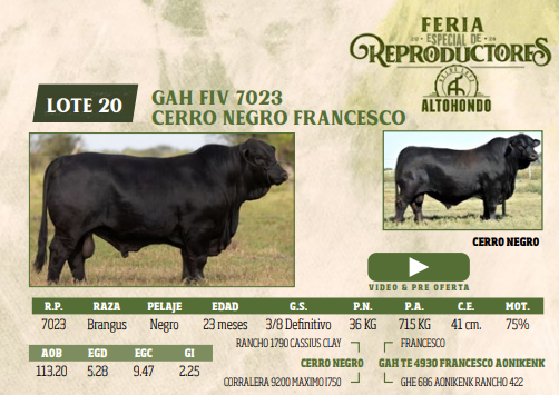 Lote LOTE 20