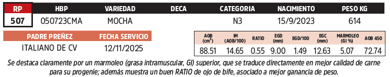 Lote LOTE 30