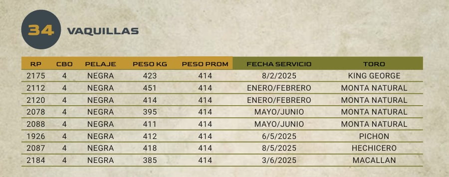 Lote LOTE 34