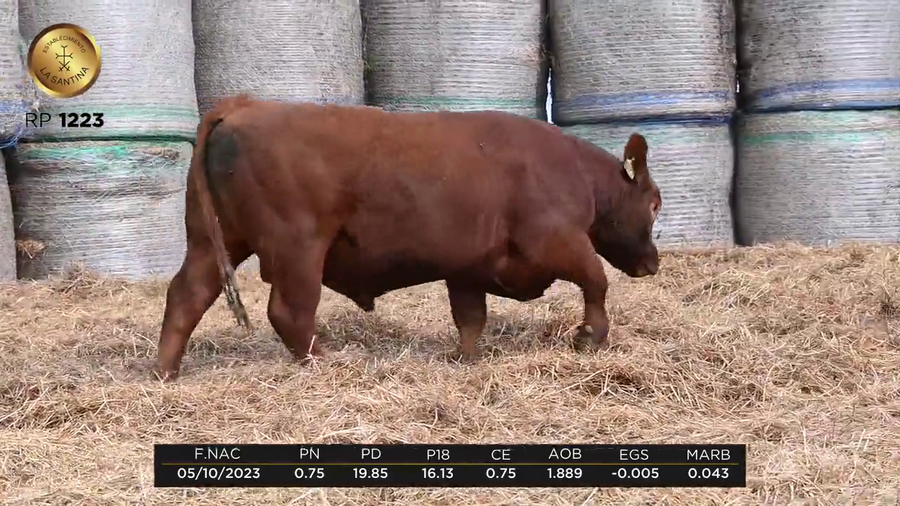 Lote LA SANTINA CERRO ROJO 331-1223