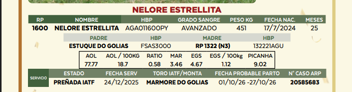 Lote LOTE 37