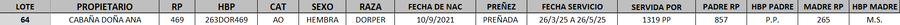 Lote LOTE 64