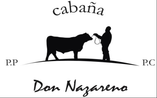 Lote VAQUILLONAS PREÑADAS CABAÑA DON NAZARENO DE FERRANDI