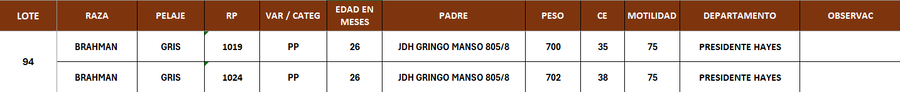 Lote LOTE 94