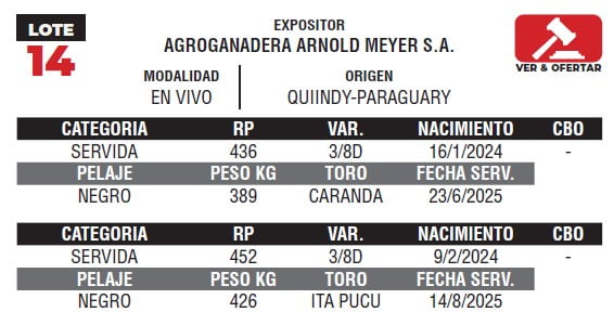 Lote LOTE 14- EN VIVO