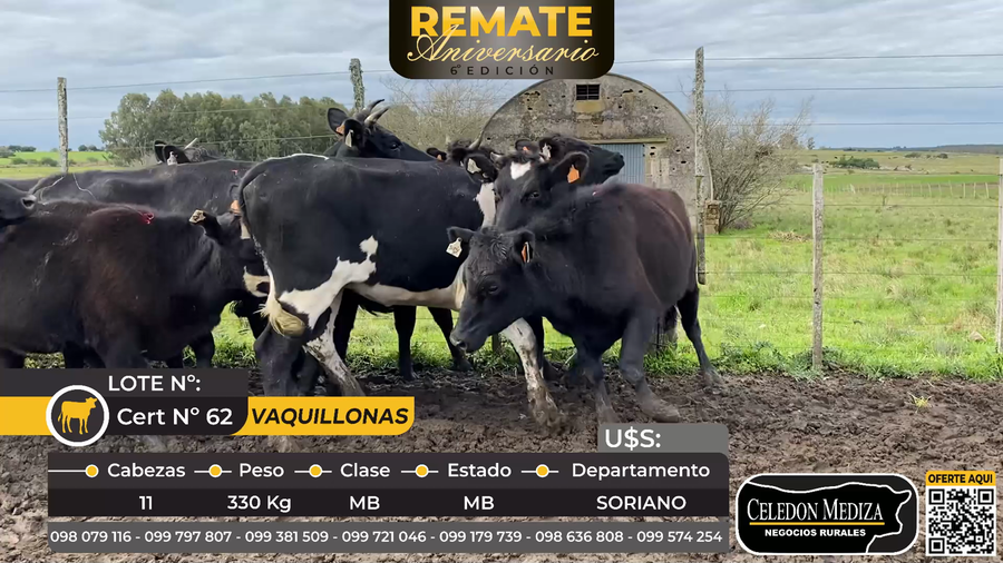 Lote 11 Vaquillonas  en Soriano