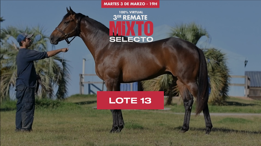 Lote GRAND HAT