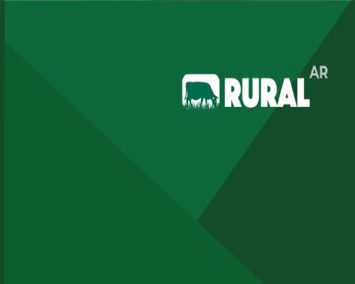 Lote TORO P.P. - LOTE 6