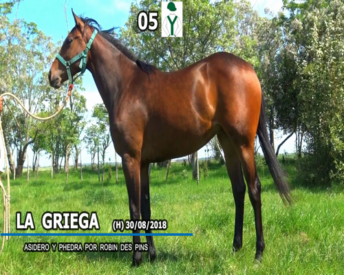Lote LA GRIEGA