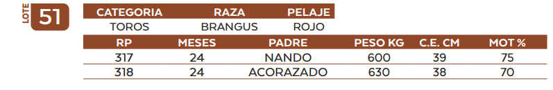 Lote LOTE 51