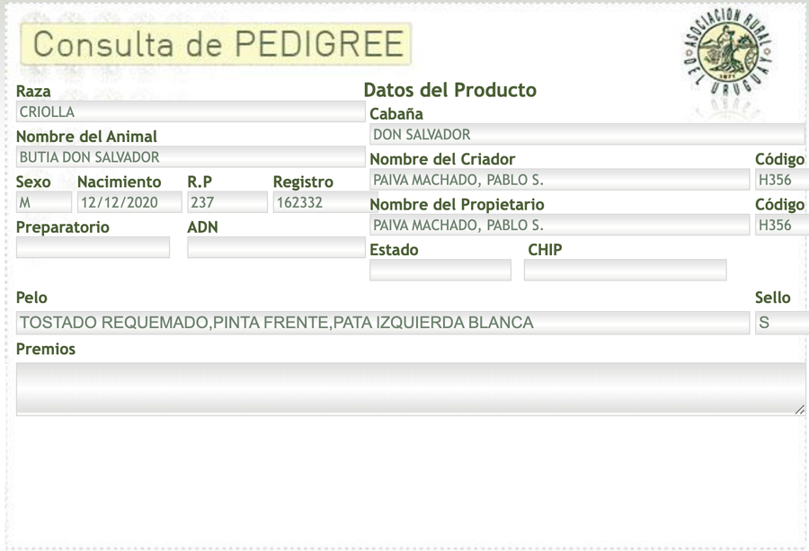 Lote Butia Don Salvador