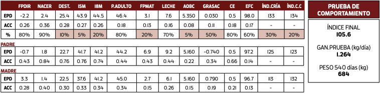Lote LARRAÑAGA TIMES UP - 4583