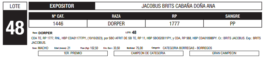 Lote LOTE 48