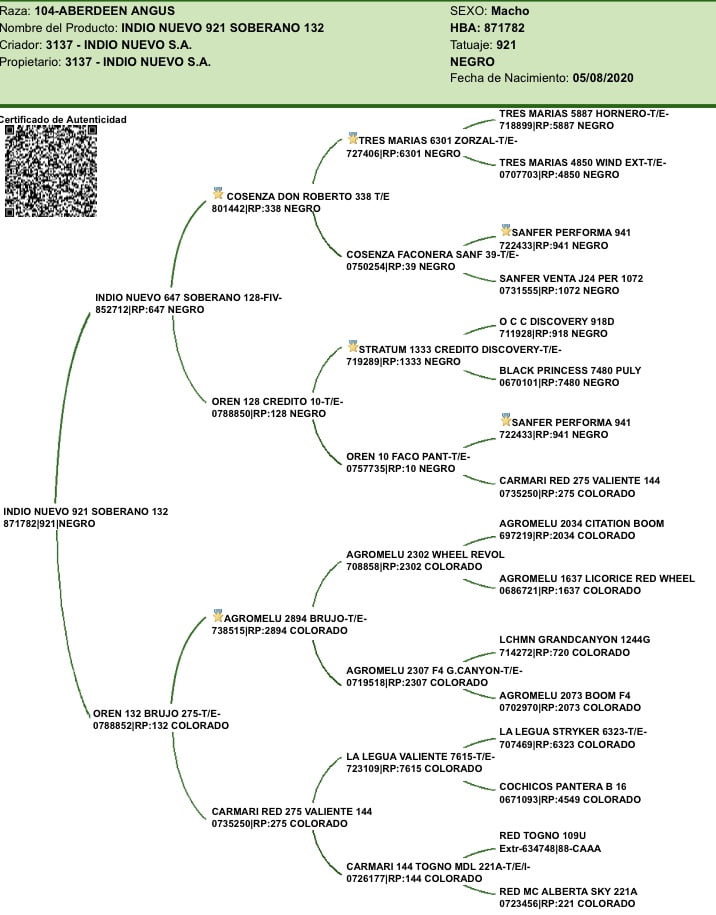 Lote "Toros ""SANTA ROSA"""