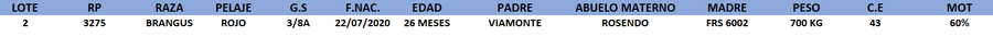 Lote LOTE 2