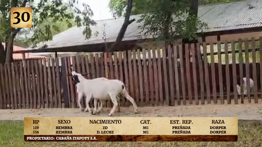 Lote LOTE 30