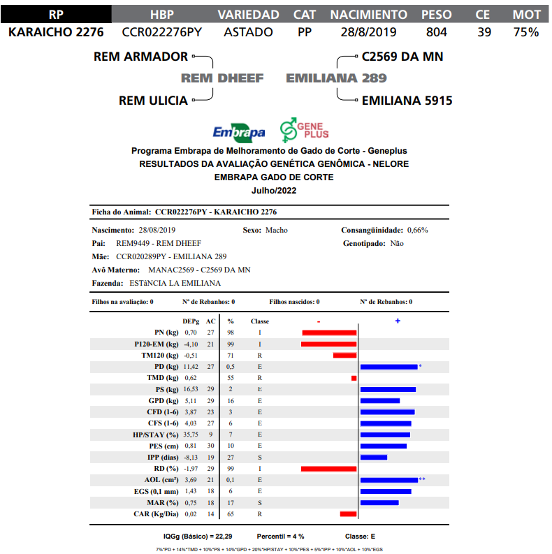 Lote LOTE  66 RP K2276