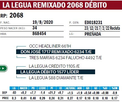 Lote VAQUILLONAS PURA DE PEDIGREE