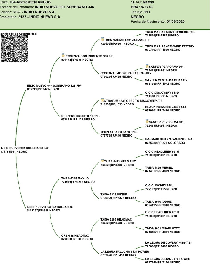 Lote "Toros ""SANTA ROSA"""