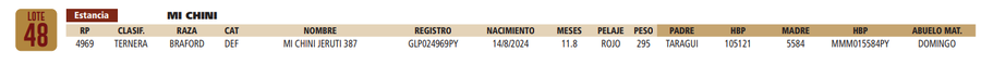 Lote LOTE 48