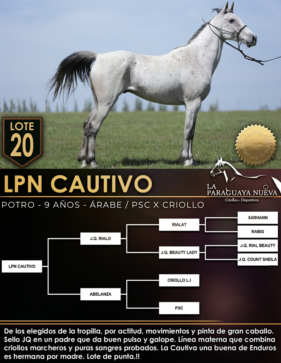 Lote LPN CAUTIVO
