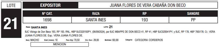 Lote LOTE 21