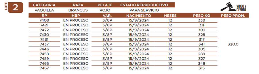 Lote LOTE 2