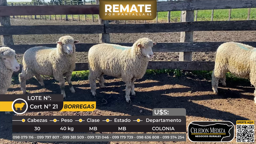 Lote 30 Borregas en Víboras, a 15 km de Carmelo, Colonia