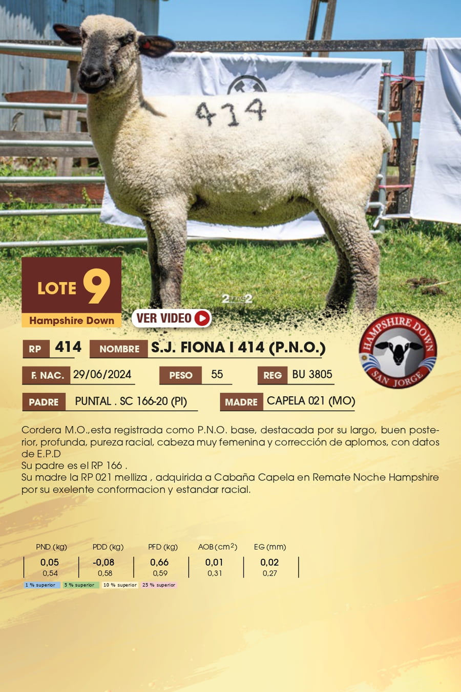 Lote 9 - Hampshire Down