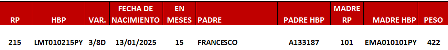 Lote LOTE 24 -DE JUNIOR