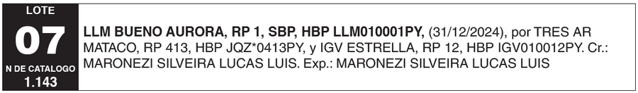 Lote LOTE 7