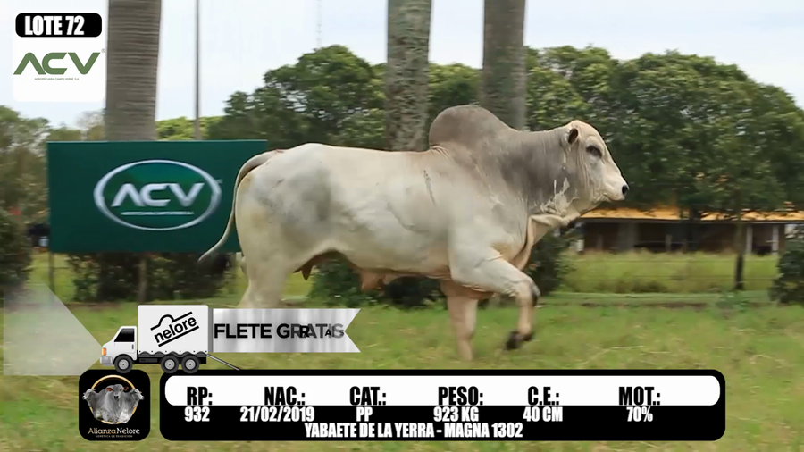 Lote LOTE  72 - RP 932